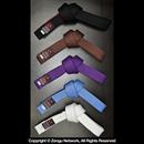 Fuji Fuji Jiu Jitsu Belts